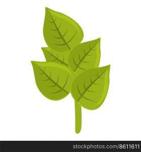 Sage oregano icon cartoon vector. Leaf herb. Dill garden. Sage oregano icon cartoon vector. Leaf herb