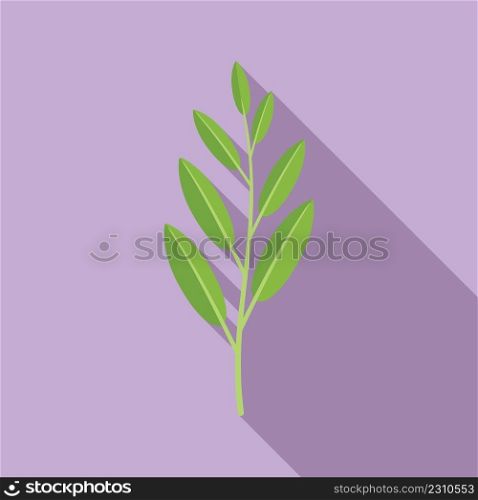Sage plant icon flat vector. Herb leaf. Tea salvia. Sage plant icon flat vector. Herb leaf