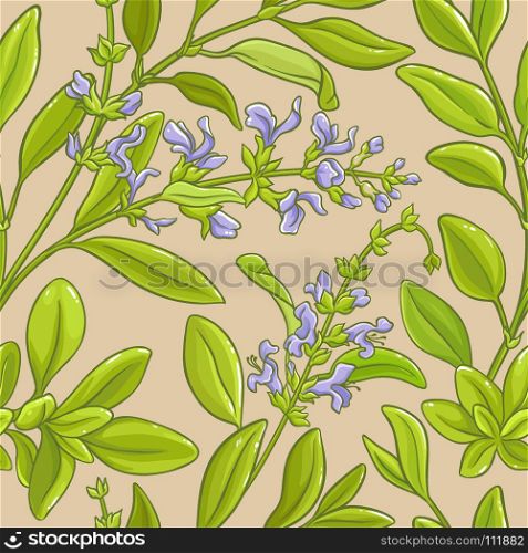 sage vector pattern. sage branches vector pattern on color background