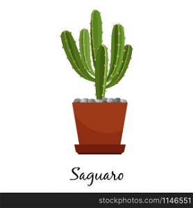 Saguaro cactus in pot isolated on the white background, vector illustration. Saguaro cactus in pot