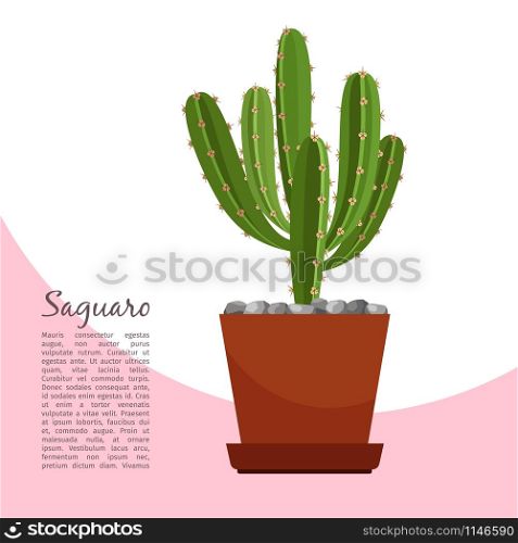Saguaro indoor plant in pot banner template, vector illustration. Saguaro indoor plant in pot banner