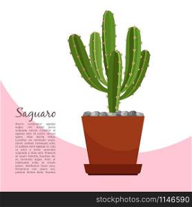 Saguaro indoor plant in pot banner template, vector illustration. Saguaro indoor plant in pot banner