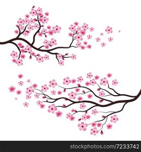Sakura Beauty flower Vector icon illustration design