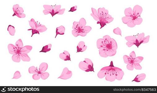 Sakura blossom and flora, isolated flowers and leaves with tender petals. Seamless pattern or print, wallpaper or wrapping. Japanese botany decoration, zen garden with cherry. Vector in flat style. Cherry tree blossom, flowers and buds with petals