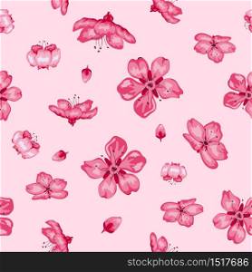 Sakura blossom flowers seamless pattern background, vector illustrator