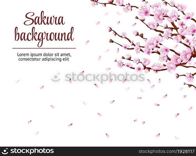 Sakura branch background. Cherry blossom, japan tree floral branches. Japanese flowers blooming festival, spring romantic vector poster. Illustration of japanese flower blossom, springtime blooming. Sakura branch background. Cherry blossom, japan tree floral branches. Japanese flowers blooming festival, spring romantic swanky vector poster