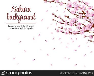 Sakura branch background. Cherry blossom, japan tree floral branches. Japanese flowers blooming festival, spring romantic vector poster. Illustration of japanese flower blossom, springtime blooming. Sakura branch background. Cherry blossom, japan tree floral branches. Japanese flowers blooming festival, spring romantic swanky vector poster