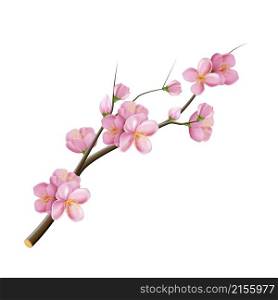 sakura branch flower blossom pink tree. china symbol. 3d realistic vector illustration. sakura branch flower blossom vector