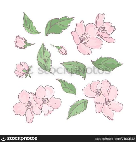 SAKURA Floral Flower Decoration Clip Art Vector Illustration