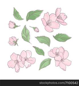 SAKURA Floral Flower Decoration Clip Art Vector Illustration