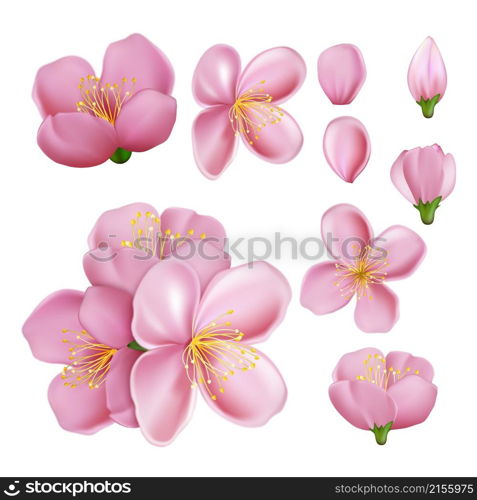 sakura flower blossom branch pink japanese petal, romantic art. chinese card. pink leaf. asian element. 3d realistic vector illustration. sakura flower blossom branch vector