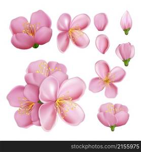 sakura flower blossom branch pink japanese petal, romantic art. chinese card. pink leaf. asian element. 3d realistic vector illustration. sakura flower blossom branch vector