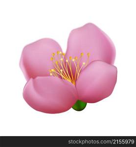 sakura flower cherry pink japanese petal. botanical design. 3d realistic vector illustration. sakura flower cherry vector