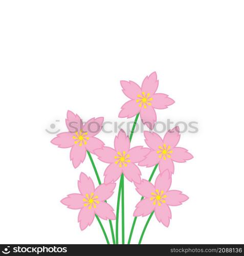 sakura flower vector illustration design template