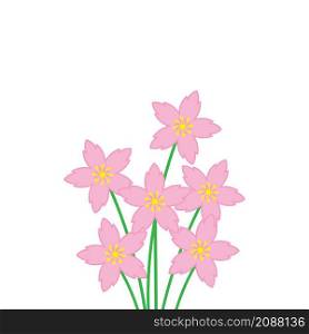 sakura flower vector illustration design template