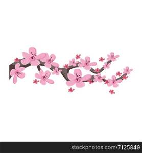 Sakura flowers. Pink cherry flowers.