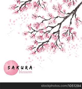 Sakura japan cherry branch with blooming flowers vector illustration.. Sakura japan cherry branch with blooming flowers vector illustration. Hand drawn style.