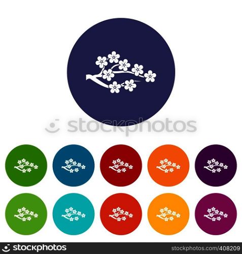 Sakura set icons in different colors isolated on white background. Sakura set icons