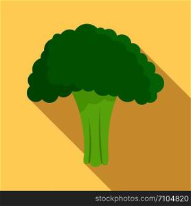 Salad broccoli icon. Flat illustration of salad broccoli vector icon for web design. Salad broccoli icon, flat style