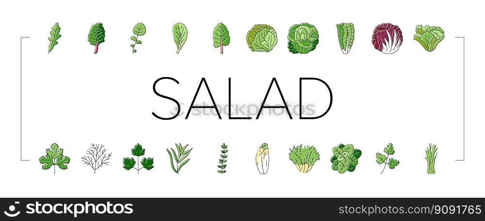 salad food healthy green fresh icons set vector. vegetable bowl, meal lunch, dish dinner, lettuce tomato, plate vegetarian, diet salad food healthy green fresh color line illustrations. salad food healthy green fresh icons set vector