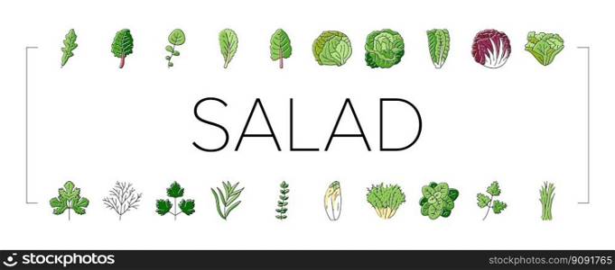salad food healthy green fresh icons set vector. vegetable bowl, meal lunch, dish dinner, lettuce tomato, plate vegetarian, diet salad food healthy green fresh color line illustrations. salad food healthy green fresh icons set vector