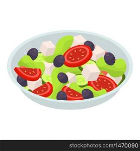 Salad plate icon. Isometric of salad plate vector icon for web design isolated on white background. Salad plate icon, isometric style