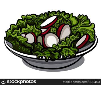 salad with fresh radish and lettuce