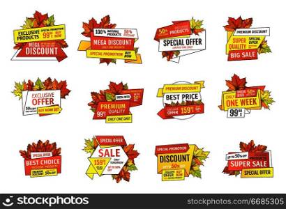 Sale emblems with info about prices and oak, maple and birch leaves isolated set. Discount tags and wholesale signs, autumnal promo badges vector icons. Sale Emblems with Info About Prices and Oak, Maple