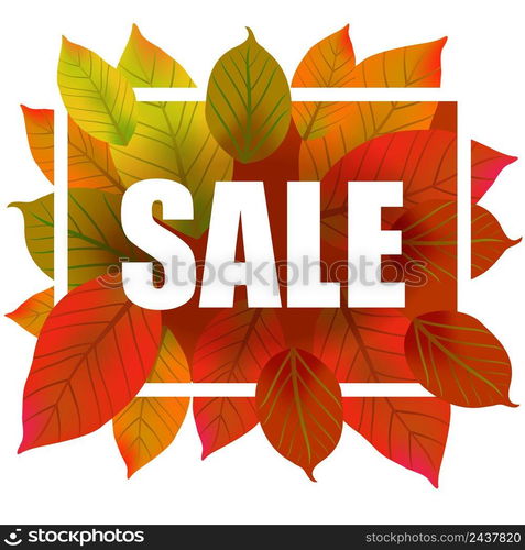 Sale lettering in frame. Creative inscription with colorful autumn leaves. Illustration with lettering can be used for banner, posters and leaflets