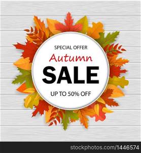 Sale of special offer in autumn season. 3d autumn sale banner with leaves on wood.. Sale of special offer in autumn season. 3d autumn sale banner with leaves on wood.vector eps10