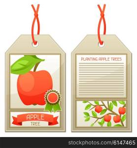 Sale tag of seedlings apple trees. Instructions for planting tree. Sale tag of seedlings apple trees. Instructions for planting tree.