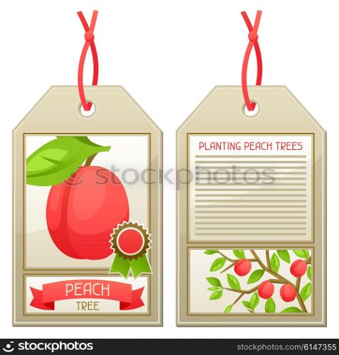 Sale tag of seedlings peach trees. Instructions for planting tree. Sale tag of seedlings peach trees. Instructions for planting tree.