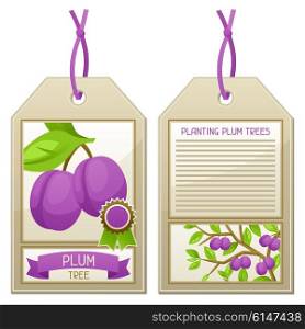 Sale tag of seedlings plum trees. Instructions for planting tree. Sale tag of seedlings plum trees. Instructions for planting tree.