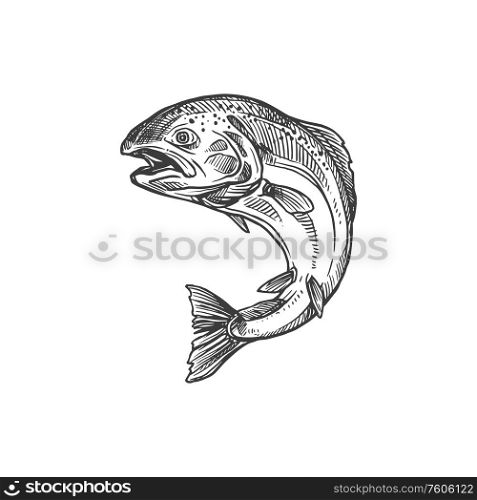Salmon and trout fish vector sketch isolated icon. Fishing symbol, seafood and fisher catch freshwater river trout and saltwater sea salmon in monochrome sketch. Fish sketch salmon and trout, fishing catch