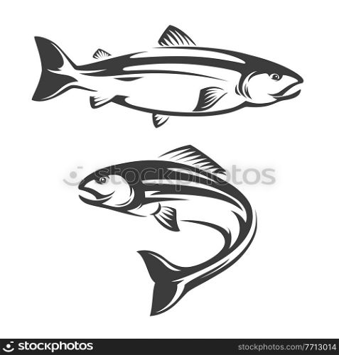 Salmon fish icon of seafood or sea fishing sport vector design. Atlantic, coho, chum or chinook, sockeye or pink salmon swimming and jumping, ocean and sea water animals isolated symbol. Salmon fish icon of seafood or sea fishing sport