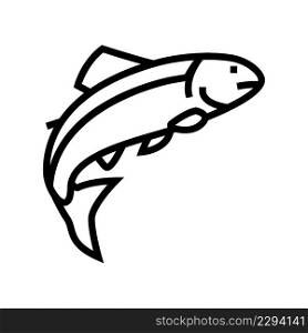 salmon fish line icon vector. salmon fish sign. isolated contour symbol black illustration. salmon fish line icon vector illustration