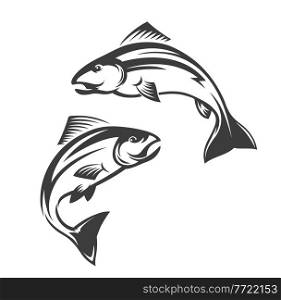 Salmon fish vector icon of leaping coho, chinook, Atlantic and pink salmon. Isolated sea and ocean seafood animals monochrome symbol of seafood restaurant, fishing sport or fish market design. Salmon fish icon, leaping coho, chinook or chum