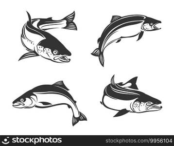 Salmon fish vector icons, sea saltwater humpback or freshwater river pink salmon or trout fish species. Isolated symbols for seafood restaurant, monochrome signs for fishing club or fishery market. Salmon fish saltwater or freshwater vector icons