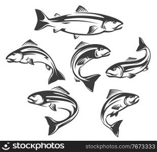 Salmon or trout fish isolated icons of vector fishing sport and seafood design. Ocean or sea water animal symbols and emblems, jumping or swimming fish of atlantic, coho, chinook and pink salmons. Salmon or trout fish isolated icons, fishing sport