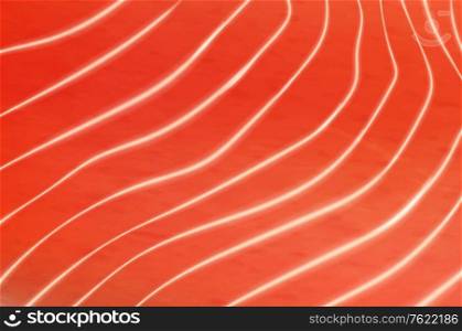 Salmon or trout fish meat fillet texture background. Vector fillet texture with white streaks, realistic raw salmon meat closeup view. Sushi or sashimi japanese food cooking ingredient. Salmon or trout fish meat vector texture