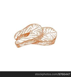 Salmon piece of red fish isolated food sketch. Vector marine seafood, fish steak fillet. Red fish steak isolated salmon fillet food sketch