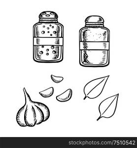 Salt and pepper shakers, fresh garlic vegetable with gloves and basil leaves sketch icons. For food or spices theme design. Salt, pepper, garlic and basil sketch