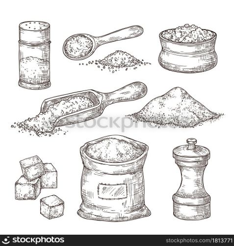 Salt sketch. Hand draw spice, vintage bowl spoon with sea salt powder. Food ingredients to cook, isolated pepper shaker vector illustration. Salty and pepper sketch, shaker container. Salt sketch. Hand draw spice, vintage bowl spoon with sea salt powder. Food ingredients to cook, isolated pepper shaker vector illustration