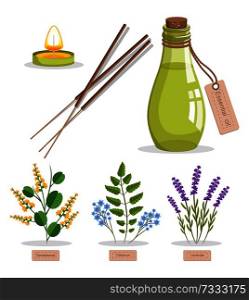 Sandalwood and olibanum, set of herbs and bottle with essence, candle and tag, herbs and titles vector illustration, isolated on white background. Sandalwood and Olibanum Set Vector Illustration