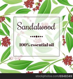 Sandalwood essential oil. Sandalwood 100 percent essential oil. Square semitransparent banner with herbal elements at background.