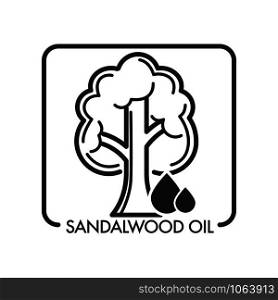 Sandalwood oil tree and drop of aromatic liquid for massages and beauty industry usage vector isolated icon of flora and oily ingredient for spa and medicine purposes perfume natural scent relaxation.. Sandalwood oil tree and drop of aromatic liquid for massages