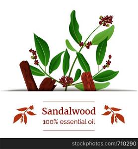 Sandalwood sticks and leaves label. card template with copy space. Card template. essential oil branch. Vector illustration. For prints, posters, flyer, flier, text, copy space, textile tags labels. Sandalwood sticks and leaves label. card template with copy space. Card template. essential oil branch. Vector