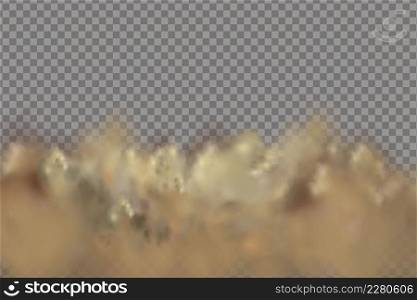 Sandstorm, a cloud of dust or sand flying from under the wheels of a car or motorcycle.. Realistic vector illustration.Sandstorm, a cloud of dust or sand flying .