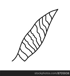 sansevieria leaf tropical line icon vector. sansevieria leaf tropical sign. isolated contour symbol black illustration. sansevieria leaf tropical line icon vector illustration