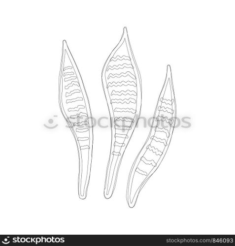Sansevieria leaves in black outline on white background. Tropical leaves on background. Postcard, banner, app design. . Sansevieria leaves in black outline on white background